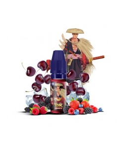 NAGASHI 10 ML - FIGHTER X SALT