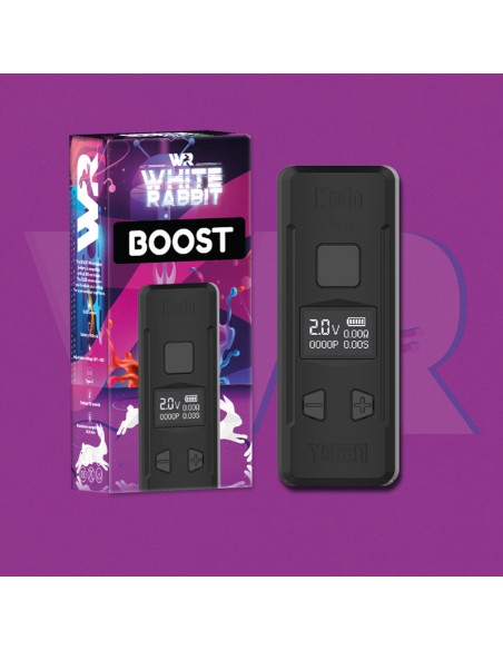 BATTERIE BOOST E510 - WHITE RABBIT