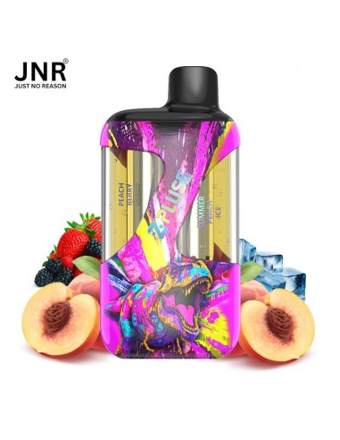 JNR 42K PEACH BERRY + SUMMER PEACH ICE - ZPLUSE...